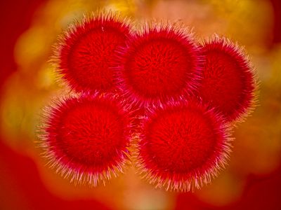 2024-05-12-12.58.31 ZS PMax_openWith.jpg