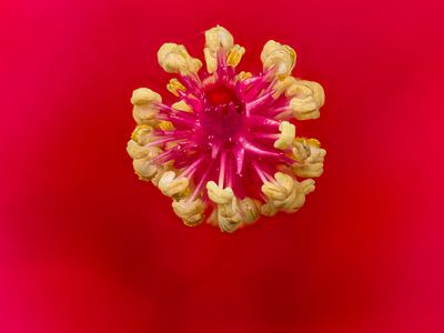 2024-05-13-10.31.52 ZS PMax_openWith.jpg