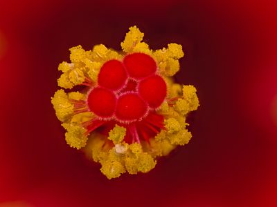 2024-05-14-10.55.16 ZS PMax_openWith.jpg