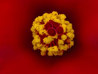 2024-05-15-12.12.11 ZS PMax_openWith.jpg