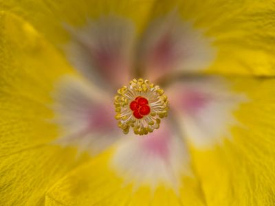 2024-05-16-09.08.16 ZS PMax_50_openWith.jpg