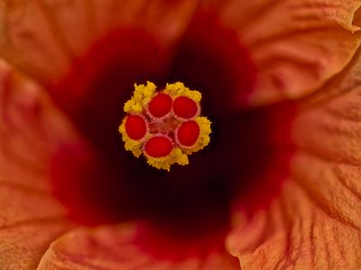 2024-05-17-10.48.25 ZS PMax_openWith.jpg