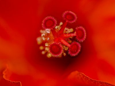 2024-05-19-11.19.47 ZS PMax_40_openWith.jpg