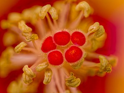 2024-05-20-10.19.44 ZS PMax_openWith.jpg