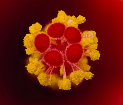 2024-05-24-01.43.59 ZS PMax_openWith.jpg