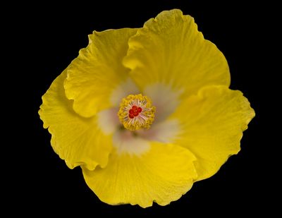 2024-05-27-10.54.19 ZS PMax_35_openWith.jpg