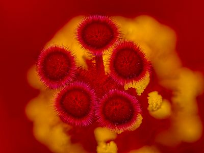 2024-05-28-03.19.40 ZS PMax_openWith.jpg