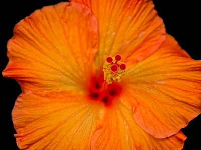 2024-05-30-01.25.22 ZS PMax_60_openWith.jpg