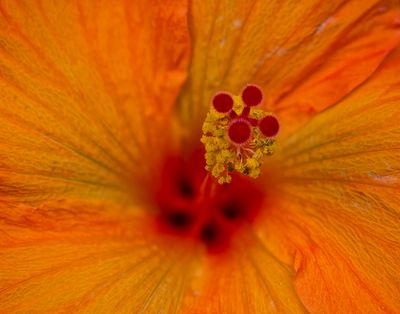 2024-05-30-01.48.33 ZS PMax_openWith.jpg