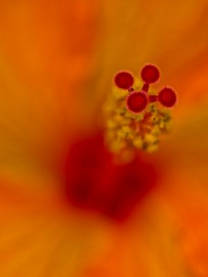 2024-05-30-03.01.25 ZS PMax_30_openWith.jpg