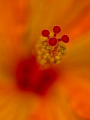 2024-05-30-03.12.05 ZS PMax_35_openWith.jpg