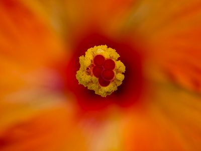 2024-06-02-10.35.55 ZS PMax_50_openWith.jpg