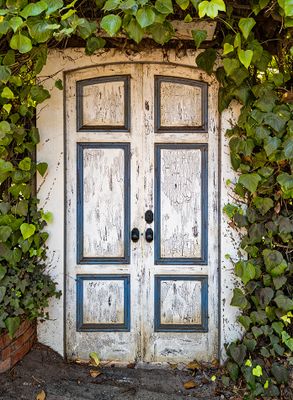_DSF0085_openWith.jpg