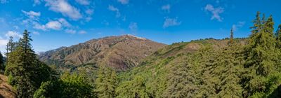 Untitled_Panorama-3_openWith.jpg
