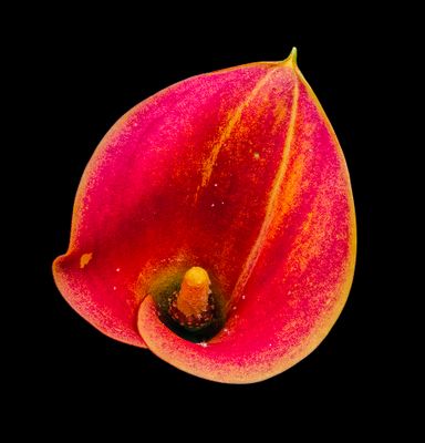 2024-11-16-01.20.30 ZS PMax_openWith.jpg