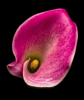 2024-11-16-02.12.49 ZS PMax_openWith.jpg