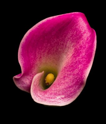 2024-11-16-03.00.52 ZS PMax_openWith.jpg