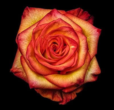 2024-11-18-10.24.52 ZS PMax_openWith.jpg