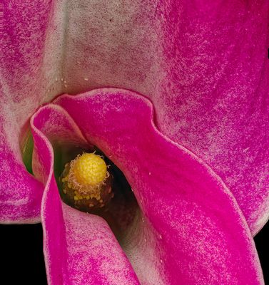 2024-11-28-10.11.01 ZS PMax_openWith.jpg