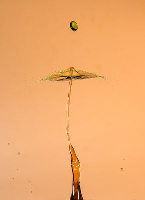 _DSC4853.jpg
