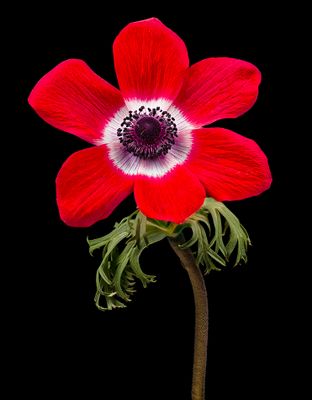 2025-03-11-09.14.38 ZS PMax_openWith.jpg