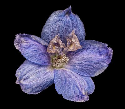2025-03-17-15.28.31 ZS PMax_openWith.jpg