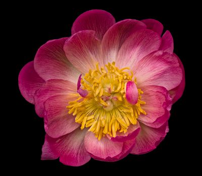 2025-03-20-16.28.37 ZS PMax_openWith.jpg