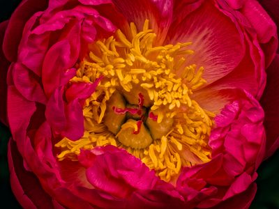 2025-04-24-13.12.28 ZS PMax_openWith.jpg
