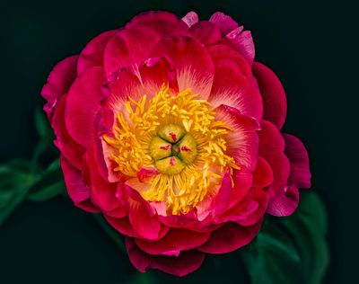 2025-04-25-11.37.10 ZS PMax_openWith.jpg