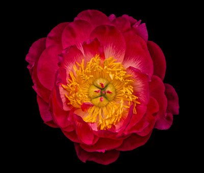 2025-04-25-11.47.11 ZS PMax_openWith_1.jpg