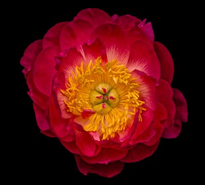 2025-04-25-11.58.24 ZS PMax_openWith.jpg