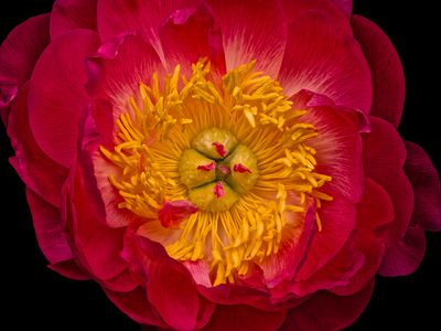 2025-04-25-12.08.58 ZS PMax_openWith.jpg