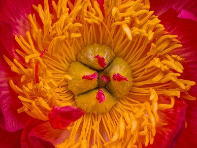 2025-04-25-12.42.11 ZS PMax_openWith.jpg