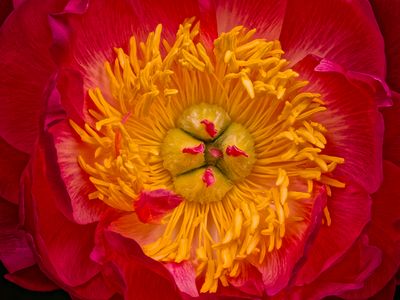 2025-04-25-14.14.53 ZS PMax_openWith.jpg