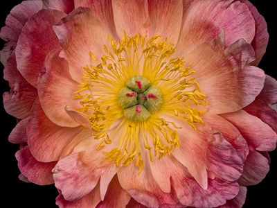 2025-04-27-10.00.23 ZS PMax_openWith.jpg