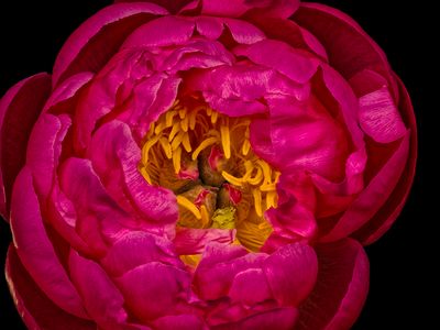 2025-04-28-14.02.39 ZS PMax_openWith.jpg