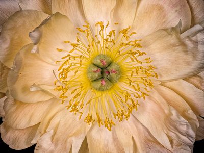 2025-04-28-15.56.36 ZS PMax_openWith.jpg
