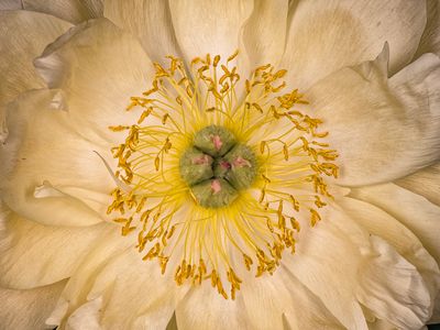 2025-04-29-10.38.55 ZS PMax_openWith.jpg