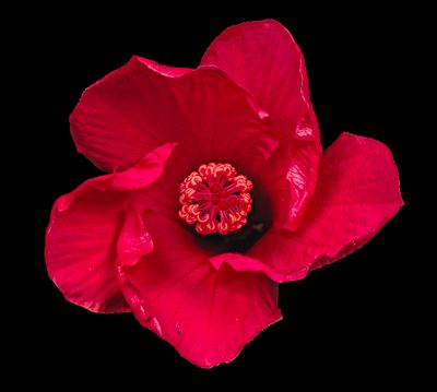 2025-05-02-16.04.44 ZS PMax_openWith.jpg