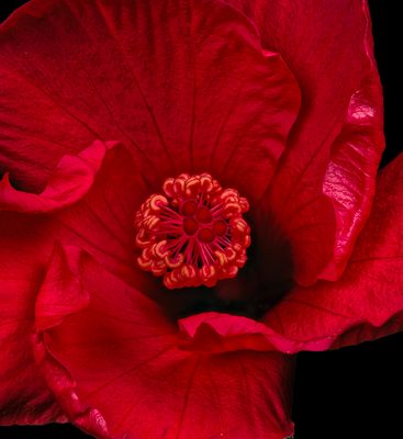 2025-05-02-16.30.30 ZS PMax_openWith.jpg