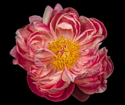 2025-05-05-12.18.31 ZS PMax_openWith.jpg