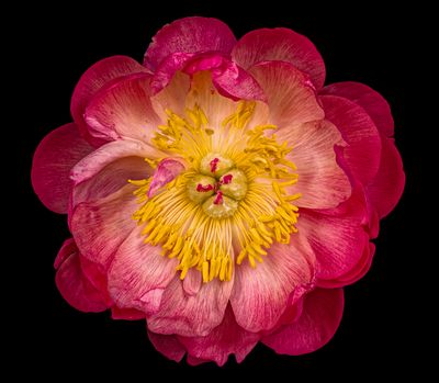 2025-05-05-12.53.28 ZS PMax_openWith.jpg
