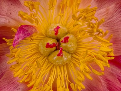 2025-05-05-14.00.02 ZS PMax_openWith.jpg