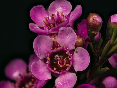 2025-05-06-12.42.29 ZS PMax_openWith.jpg