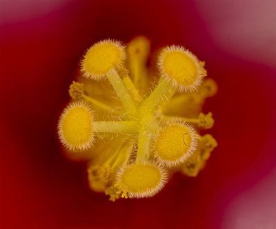 2025-05-16-11.54.17 ZS PMax_openWith.jpg