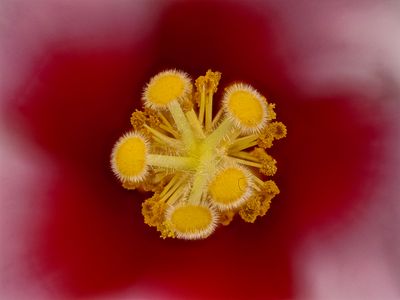 2025-05-16-13.15.09 ZS PMax_openWith.jpg