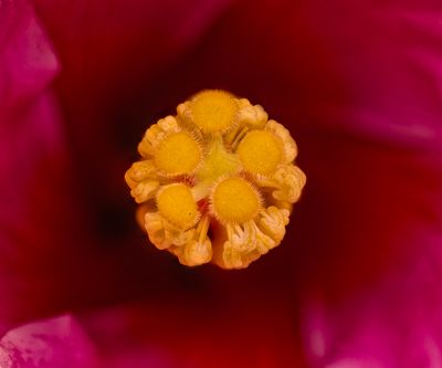 2025-05-19-12.37.29 ZS retouched_openWith.jpg