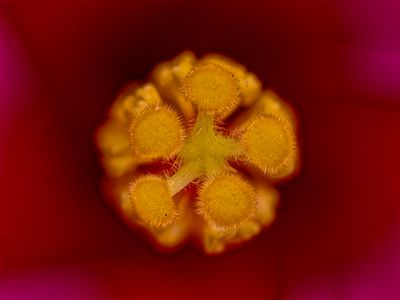 2025-05-19-13.55.41 ZS retouched_openWith.jpg