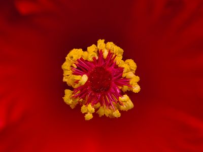 2025-05-19-16.25.35 ZS retouched_openWith.jpg
