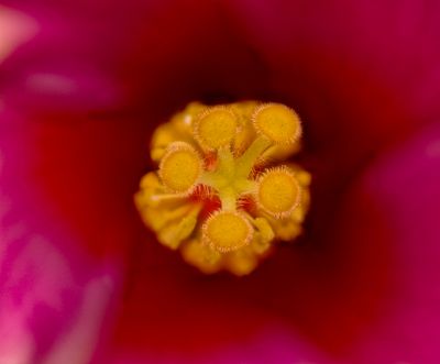 2025-05-19-18.51.49 ZS retouched_50_openWith.jpg